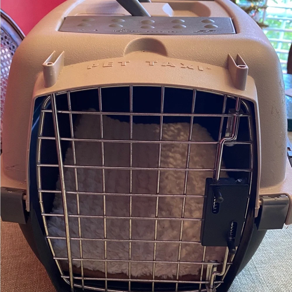 Pet Taxi Travel Kennel Carrier